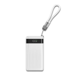 High Capacity Power Bank